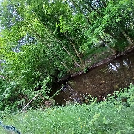 Gite De L'Ours Сан-Морис-сюр-Мозел Екстериор снимка